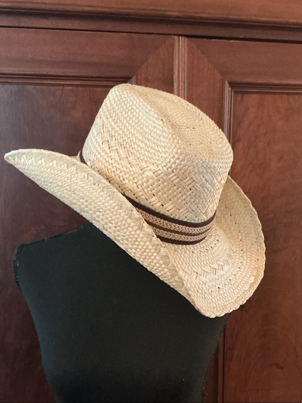 Stetson Roadrunner Bryant Finish Straw Cowboy Hat with Brown Trim